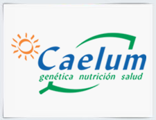 Caelum